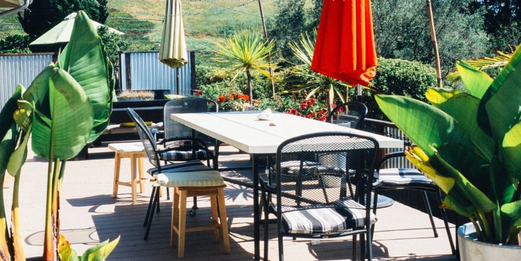 Terras lente