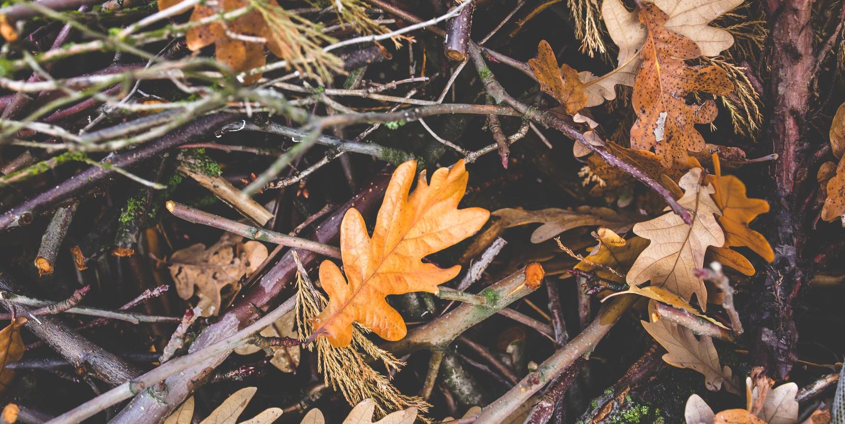 herfst