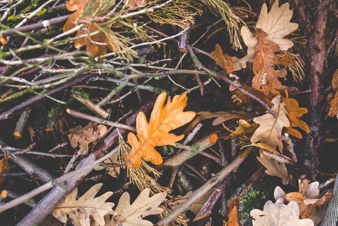 herfst
