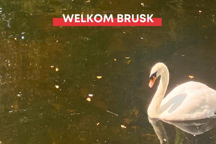 WELKOM BRUSK