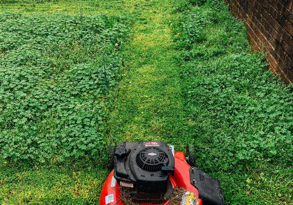 grasmaaier, het gras maaien