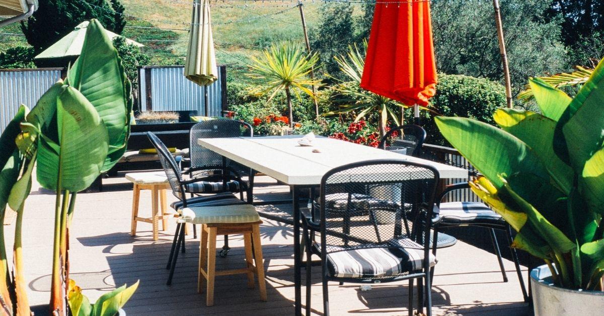 Terras lente