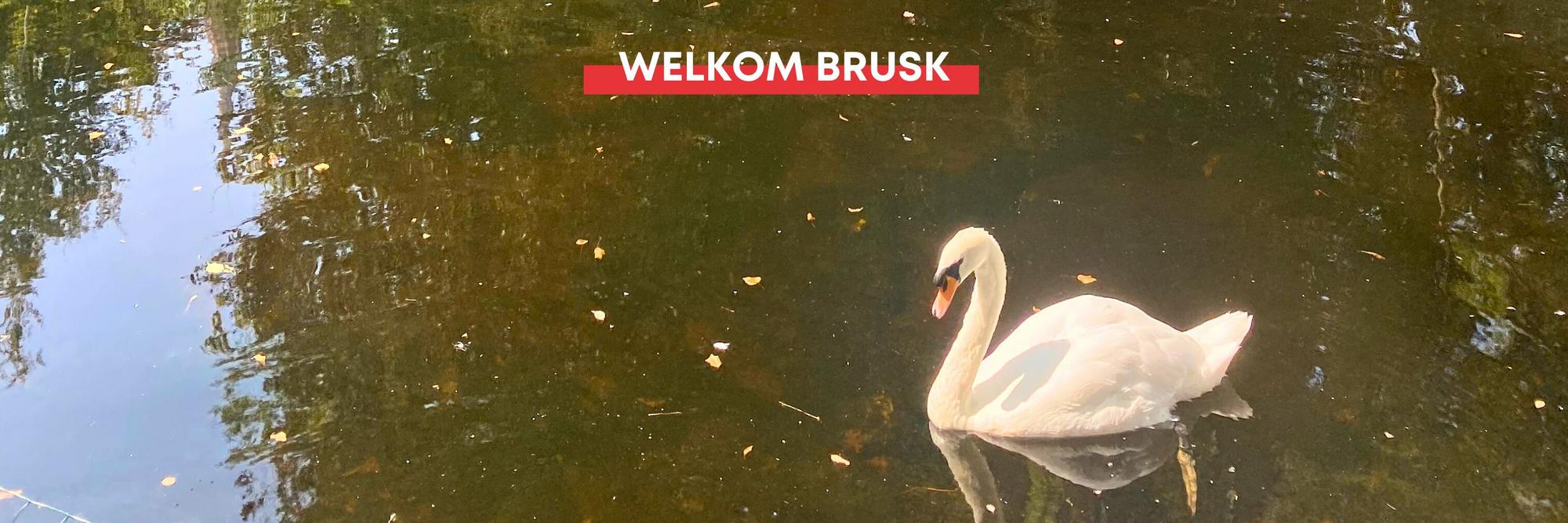 WELKOM BRUSK